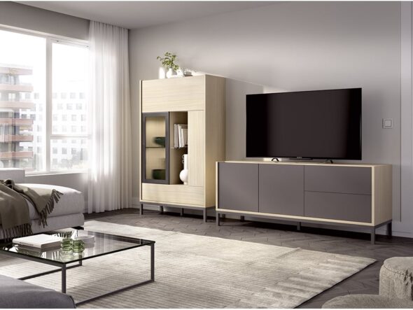 Muebles de salón modelo Duo 42