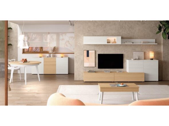 Composición para salón modelo Neo 301