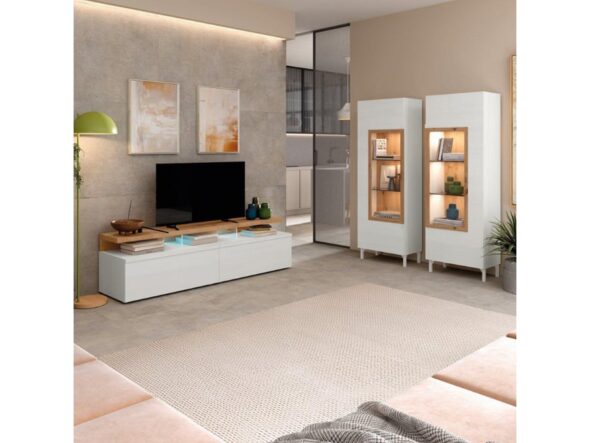 Muebles para salón modelo Neo 319